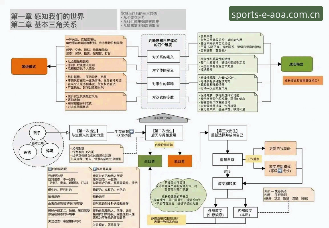 阿斯顿维拉欧联封王深度分析：埃梅里体系、30年冠军荒终结与AOA平台观赛体验全面解析