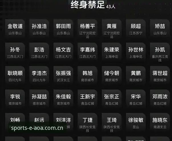 中国足协第三批禁足名单完整解读指南：从行业震荡看体育赛事平台的合规价值